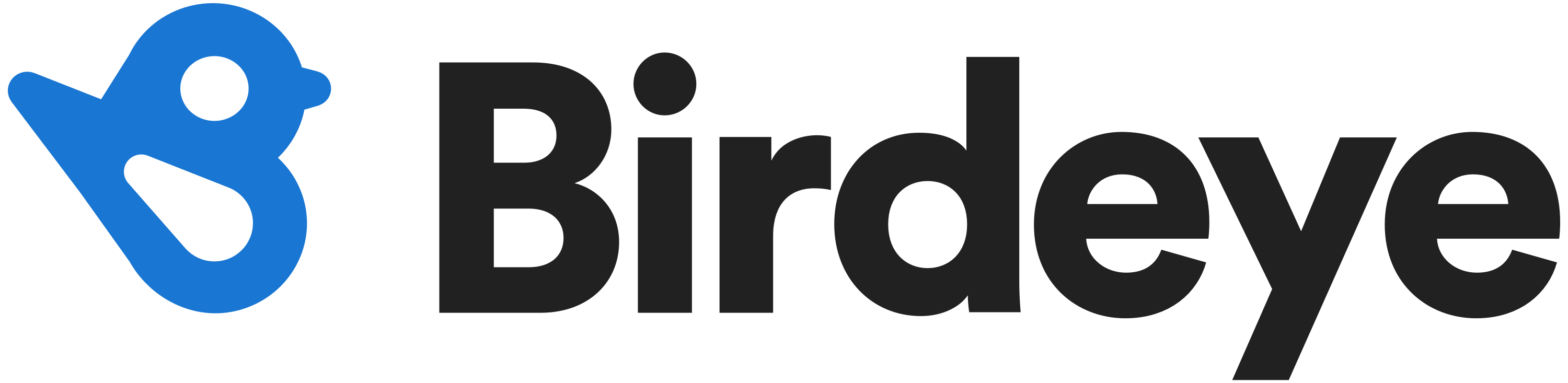 Birdeye Current Openings