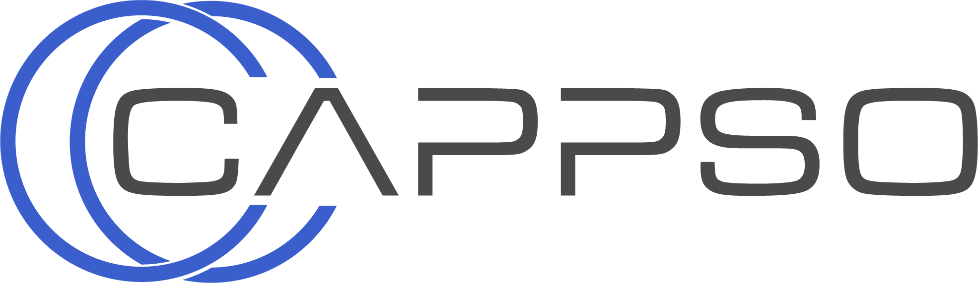 CAPPSO GmbH - Current Openings