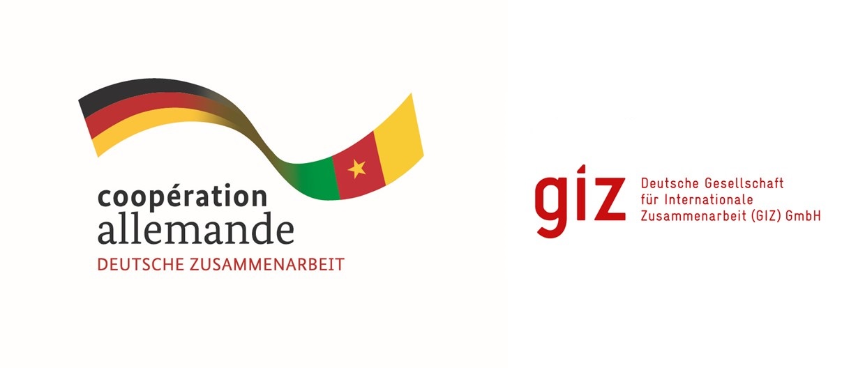 Logo de GIZ